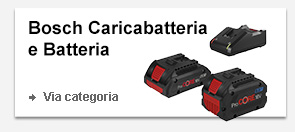 Caricabatteria e Batteria